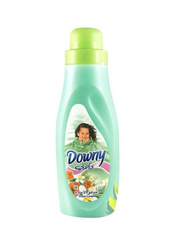 Regular Fabric Softener Dream Garden 1L