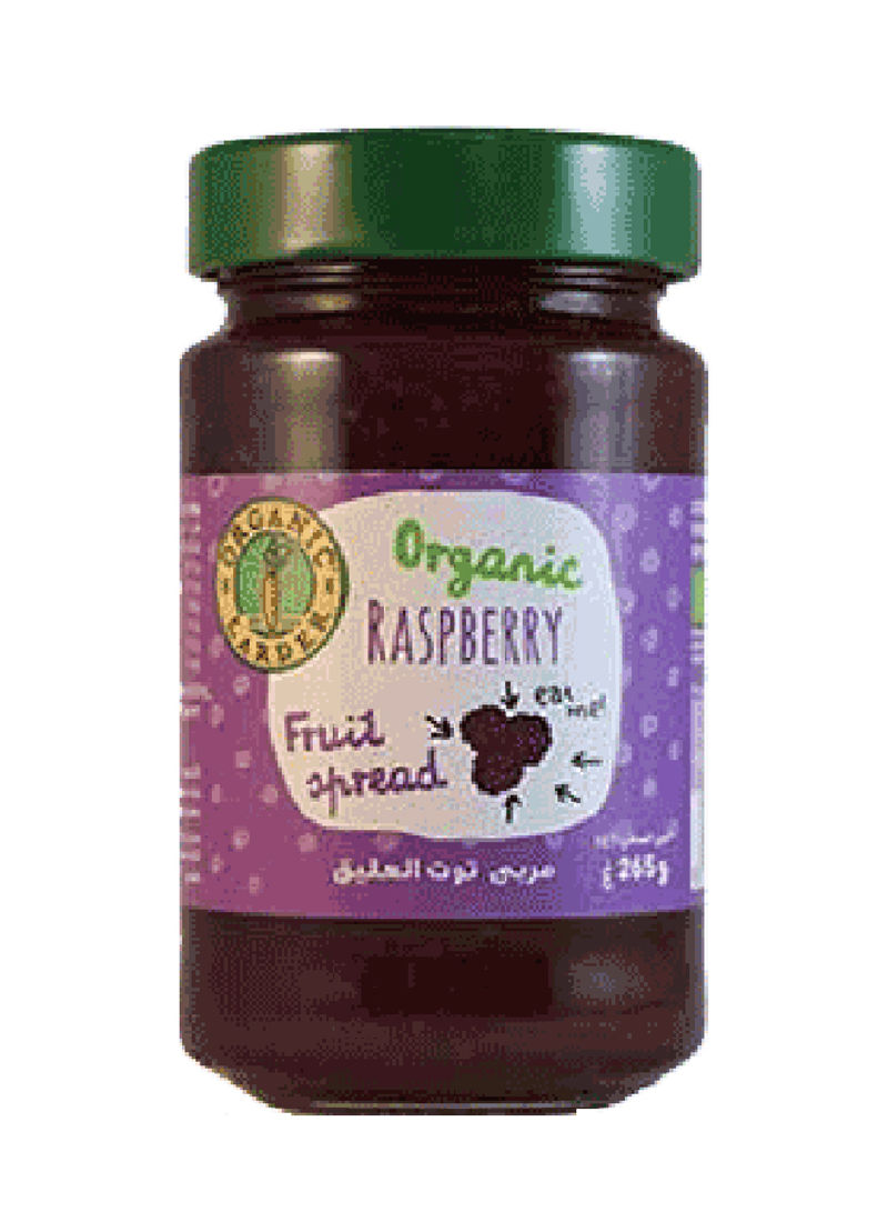 Spread Raspberry Fruit 265g