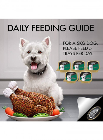 Beef And Vegetables Wet Dog Food Foil Tray 100g