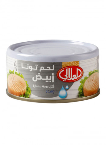White Meat Tuna Solid Pack In Water 170g