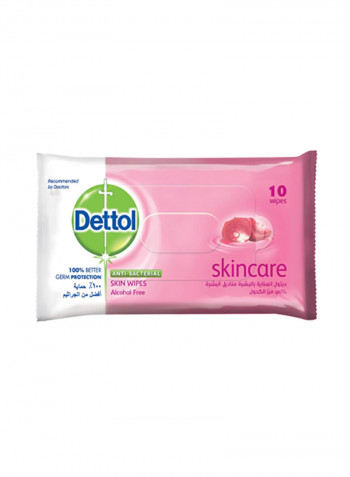 Antibacterial Skin Wipes 10 Count