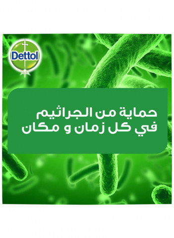 Antibacterial Skin Wipes 10 Count