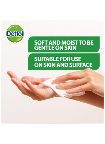 Antibacterial Skin Wipes 10 Count