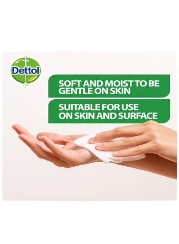 Fresh Anti-Bacterial Skin Wipes 10 Count