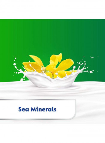 Active Anti-Bacterial Bar Soap 165g - Sea Minerals