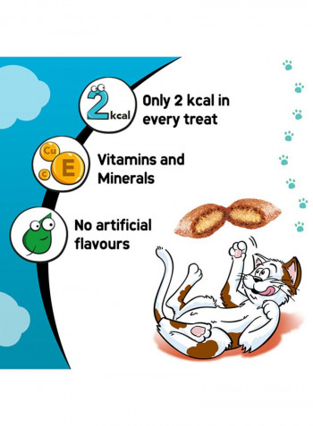 Salmon Cat Treats Pouch 60g