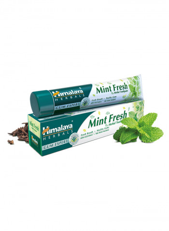 Mint Fresh Herbal Toothpaste 100ml