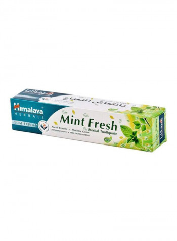 Mint Fresh Herbal Toothpaste 100ml