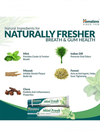 Mint Fresh Herbal Toothpaste 100ml