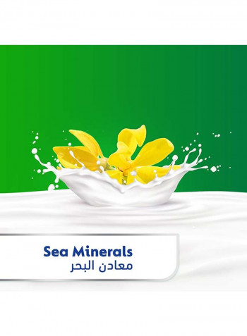 Active Anti-Bacterial Bar Soap 120g - Sea Minerals 120g