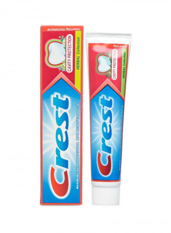 Anti-Cavity Herbal Toothpaste 125ml