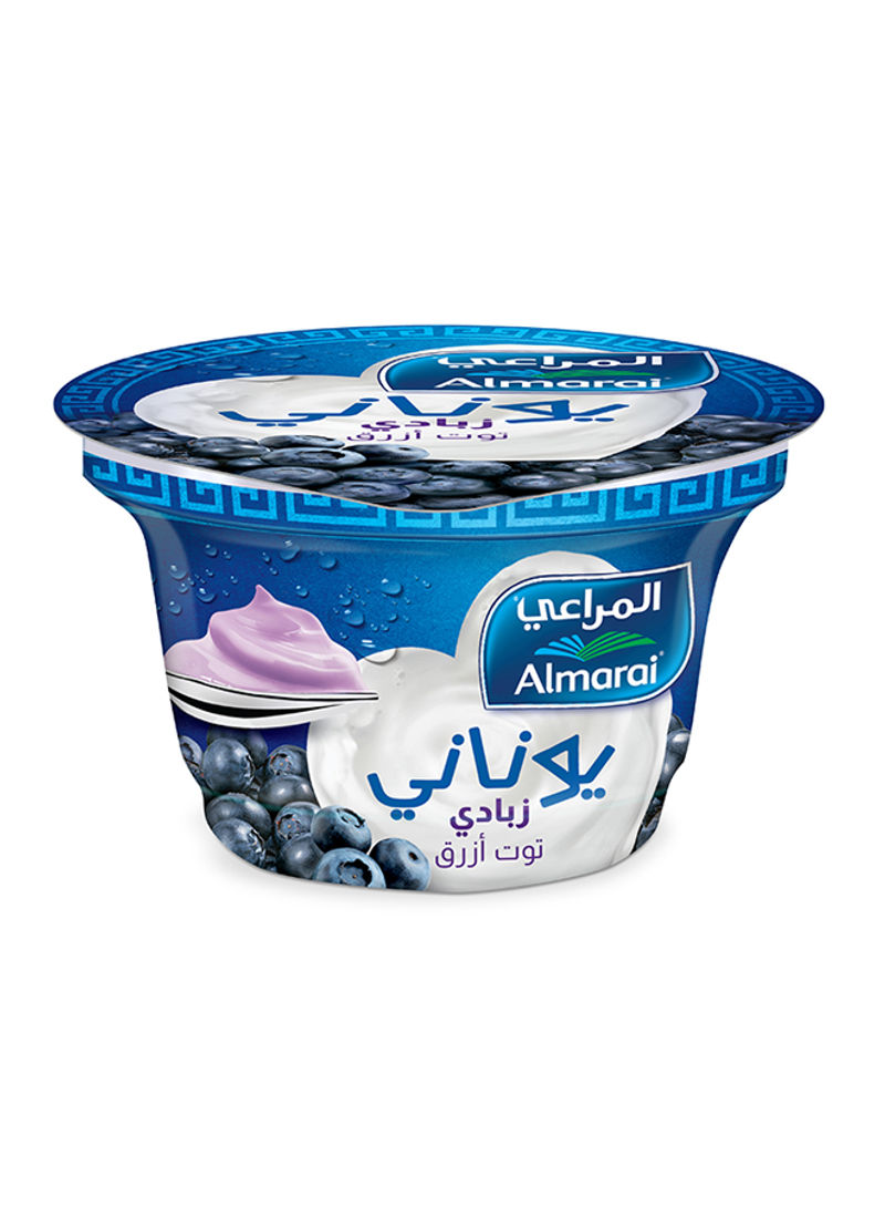 Greek Style Yoghurt Blueberry Berries 150ml