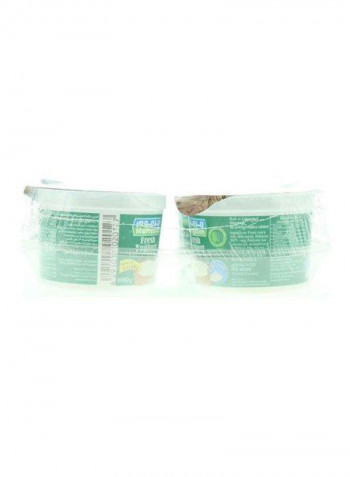 Natural Yoghurt 100g Pack of 6