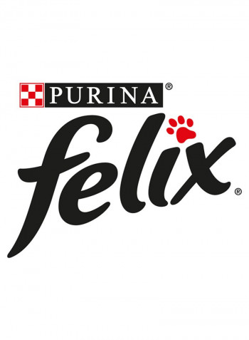 Felix Salmon In Jelly Cat Food 100g