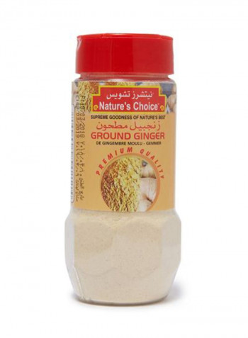 Ginger Powder 100g