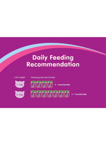 In Jelly With Ocean Fish Wet Cat Food Pouch 85g 0.085kg
