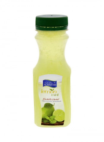 Lemon And Mint Juice Lemon 200ml