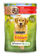 Friskies Vitafit Adult Dog Food 100g