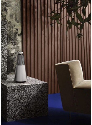 Beosound 2nd Generation MC1666812 silver/black