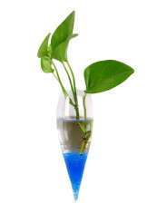Cone Shape Wall Hanging Flower Vase Clear 15 x 5centimeter