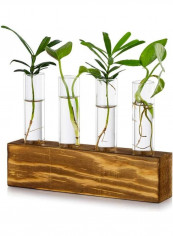 4-Piece Glass Test Tube Flower Wood Decorative Vase Multicolour 20x4x5.2x11.1x2.5cm