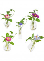 5-Piece Wall Mounted Flower Vase Small Plants Clear one sizecm