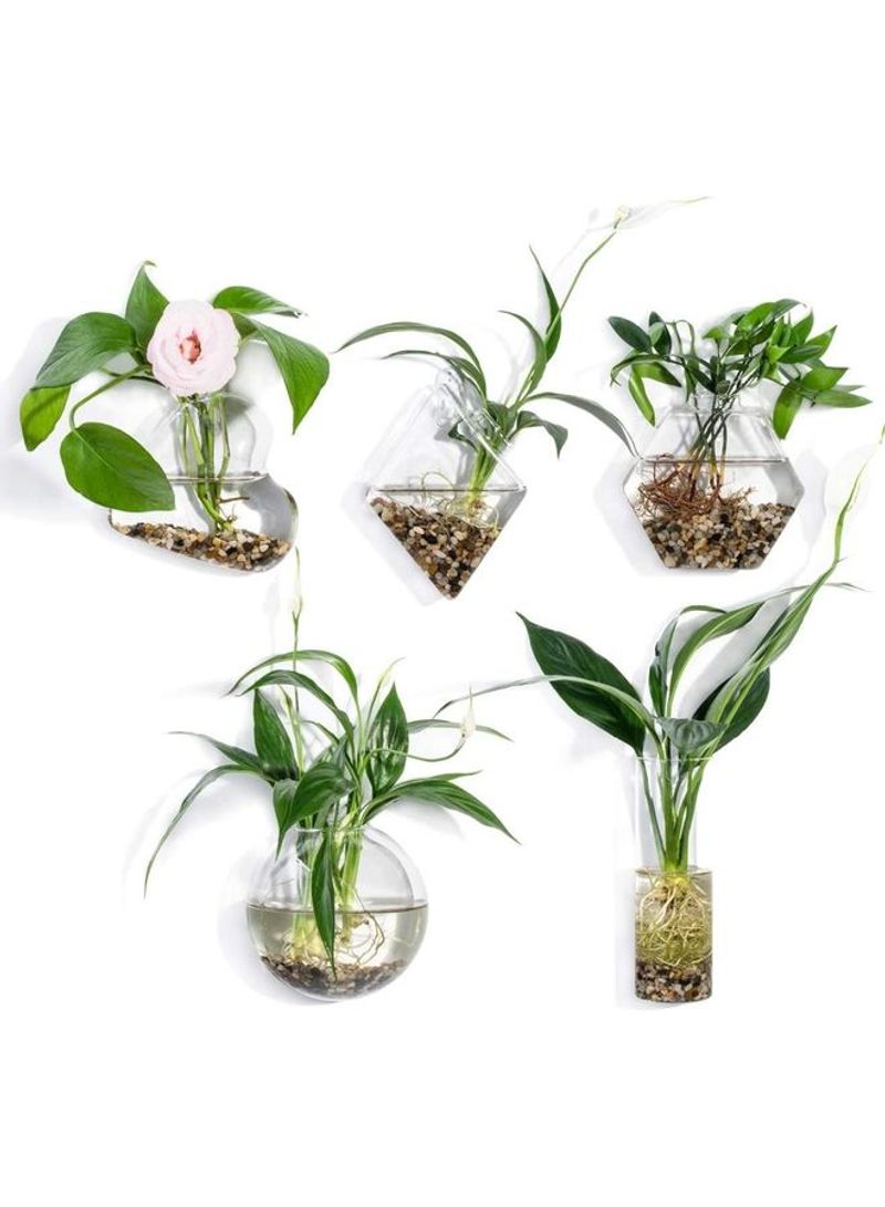 5-Piece Wall Mounted Flower Vase Small Plants Clear one sizecm