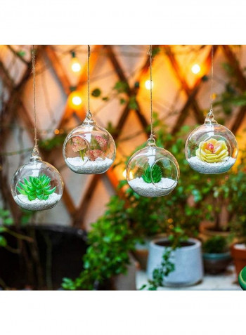4 Pcs Hanging Glass Globes Planter Big Opening Air Fern Plants Vase Hanger Multicolour 6x10cm