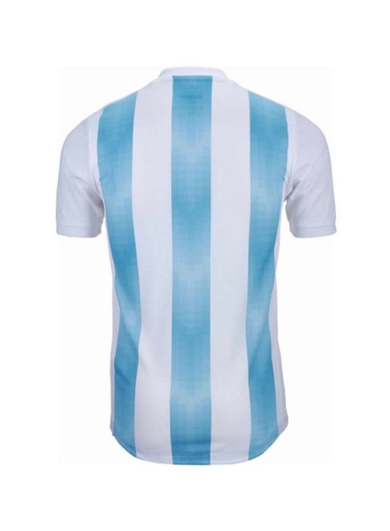 FIFA World Cup Argentina Jersey L