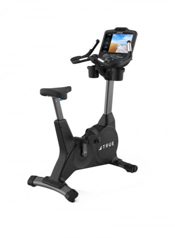 True Upright Bike