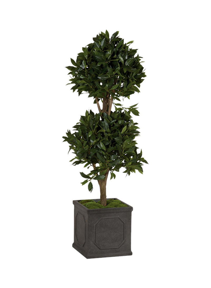 Double Bayleaf Topiary Green/Black