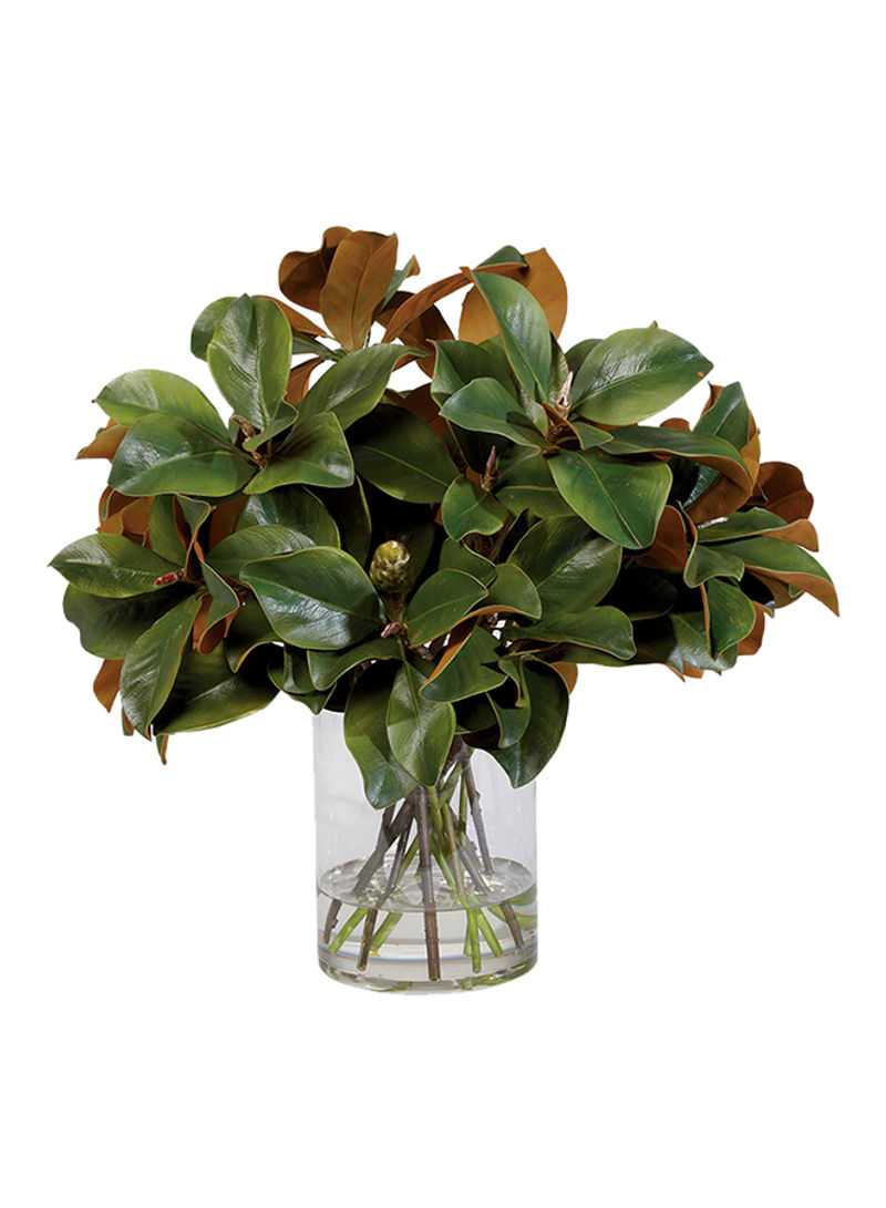 Magnolia Leaves Water Garden With Container Green