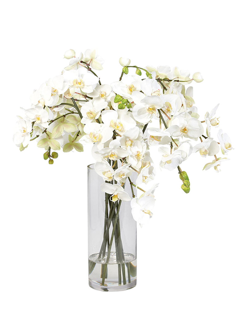 Orchids In Glass Container White