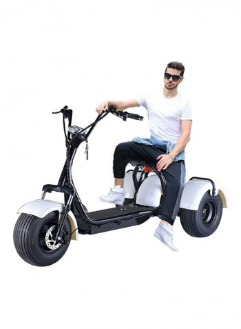 3 Wheels Coco Harley Fat Tyre Scooter