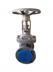 Carbon Steel Gate Valve DN250 CL150 Flanged Silver 10inch