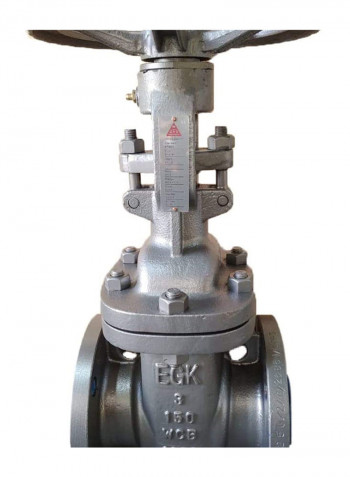 Carbon Steel Gate Valve DN250 CL150 Flanged Silver 10inch