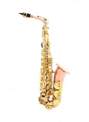 Eb Alto Woodwind Saxophone