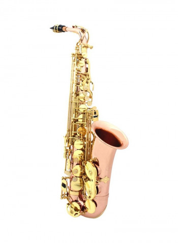 Eb Alto Woodwind Saxophone