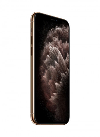 iPhone 11 Pro Max With FaceTime Gold 512GB 4G LTE - International Specs