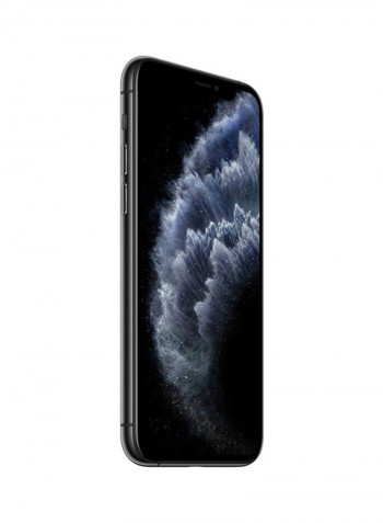 iPhone 11 Pro Max With FaceTime Space Gray 256GB 4G LTE - UAE Specs