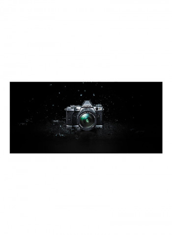 OM-D E-M5 Mark II 4K video 16MP DSLR Camera Body