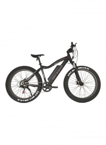 E Mountain Fat Bike