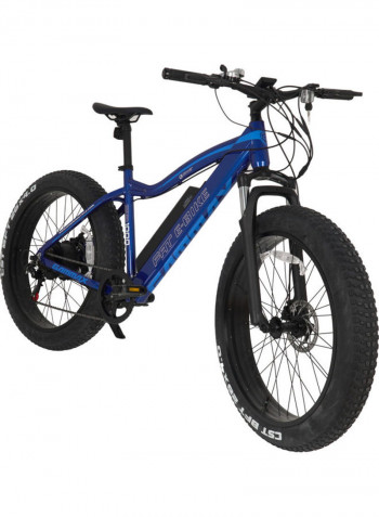 Mountain Fat E-Bike