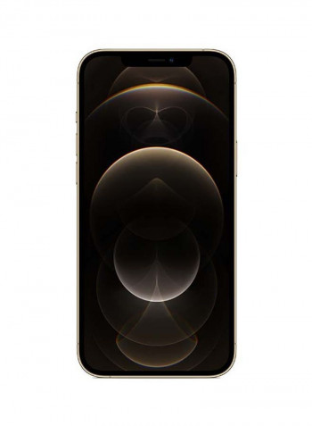 Renewed - iPhone 12 Pro Max With Facetime 256GB Gold 5G - International Specs