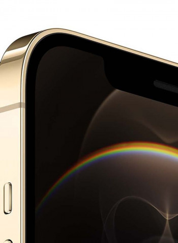 Renewed - iPhone 12 Pro Max With Facetime 256GB Gold 5G - International Specs