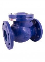 Swing Check Valve Blue/Silver 12inch reviews Swing Check Valve Blue/Silver 12inch