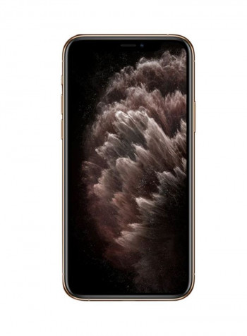 iPhone 11 Pro Max With Facetime Gold 256GB 4G LTE - International Specs