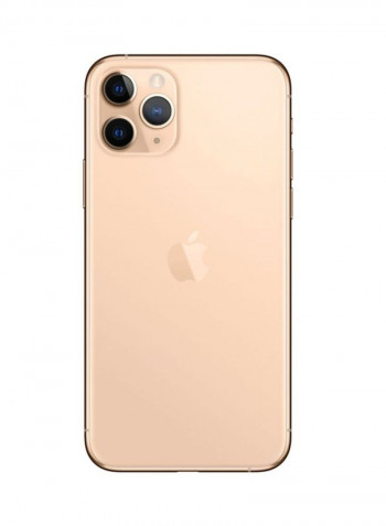 iPhone 11 Pro Max With Facetime Gold 256GB 4G LTE - International Specs