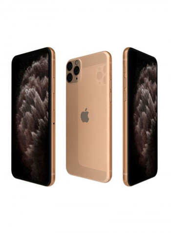 iPhone 11 Pro Max With Facetime Gold 256GB 4G LTE - International Specs