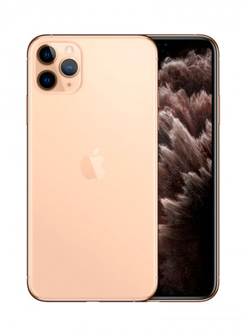 iPhone 11 Pro Max With FaceTime Gold 64GB 4G LTE - UAE Specs